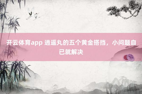 开云体育app 逍遥丸的五个黄金搭挡，小问题自已就解决