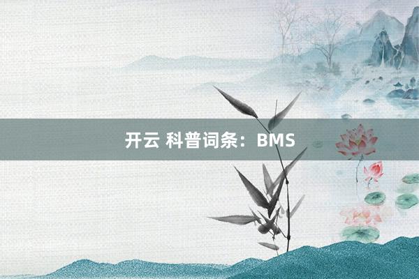 开云 科普词条:BMS