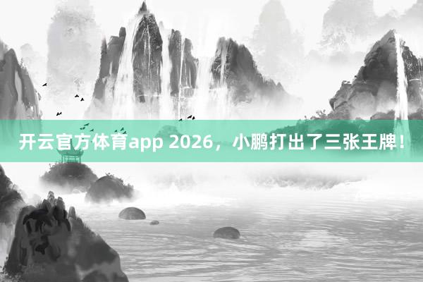 开云官方体育app 2026，小鹏打出了三张王牌！