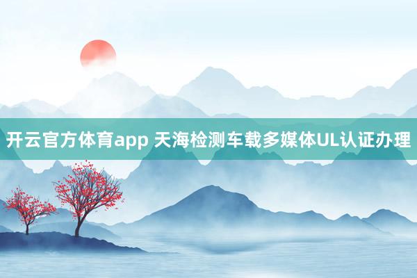 开云官方体育app 天海检测车载多媒体UL认证办理