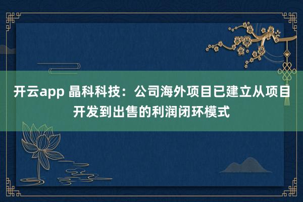 开云app 晶科科技：公司海外项目已建立从项目开发到出售的利润闭环模式