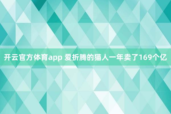 开云官方体育app 爱折腾的猫人一年卖了169个亿