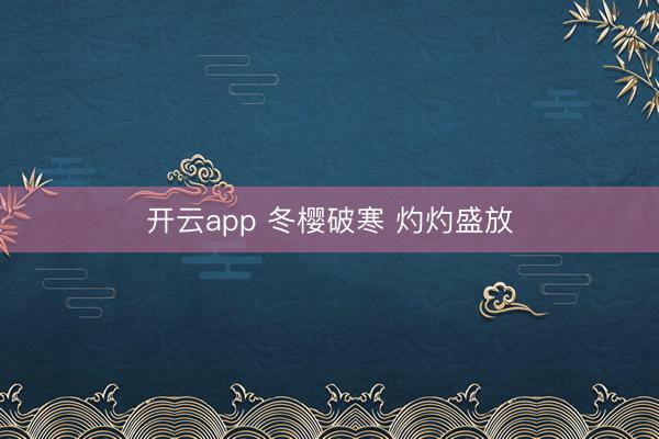 开云app 冬樱破寒 灼灼盛放