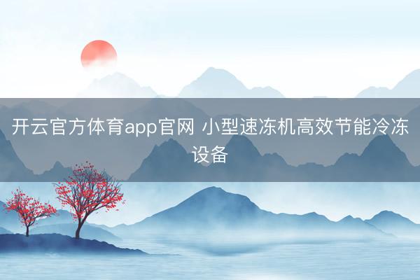 开云官方体育app官网 小型速冻机高效节能冷冻设备