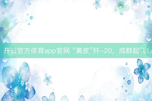 开云官方体育app官网 “黄皮”歼-20，成群起飞！