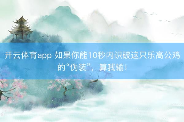 开云体育app 如果你能10秒内识破这只乐高公鸡的“伪装”，算我输！