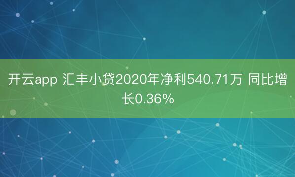 开云app 汇丰小贷2020年净利540.71万 同比增长0.36%