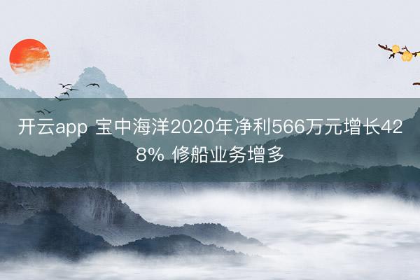 开云app 宝中海洋2020年净利566万元增长428% 修船业务增多