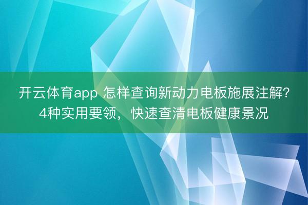 开云体育app 怎样查询新动力电板施展注解?4种实用要领,快速查清电板健康景况