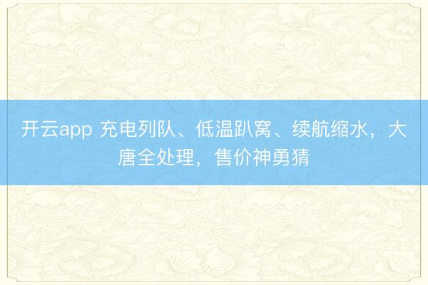 开云app 充电列队、低温趴窝、续航缩水,大唐全处理,售价神勇猜