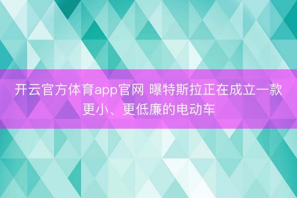 开云官方体育app官网 曝特斯拉正在成立一款更小、更低廉的电动车