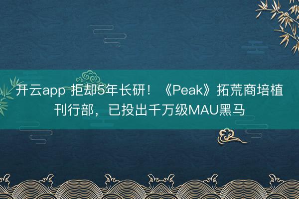 开云app 拒却5年长研!《Peak》拓荒商培植刊行部,已投出千万级MAU黑马