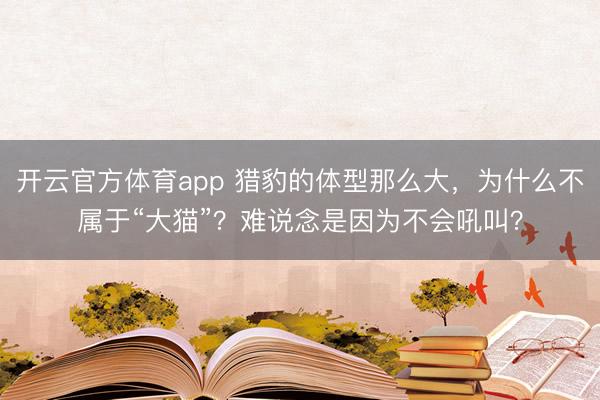 开云官方体育app 猎豹的体型那么大，为什么不属于“大猫”？难说念是因为不会吼叫？