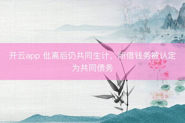 开云app 仳离后仍共同生计，所借钱务被认定为共同债务