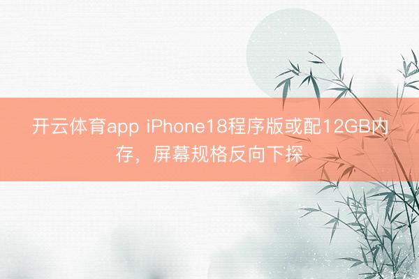 开云体育app iPhone18程序版或配12GB内存，屏幕规格反向下探